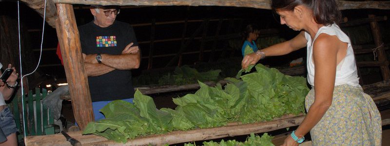 Visite dans une ferme cubaine